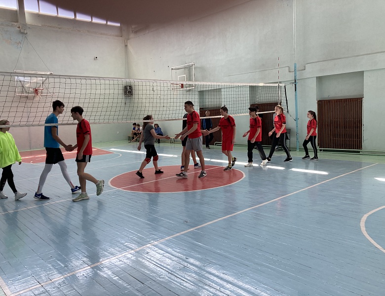 Чемпионат национальной лиги студенческих клубов